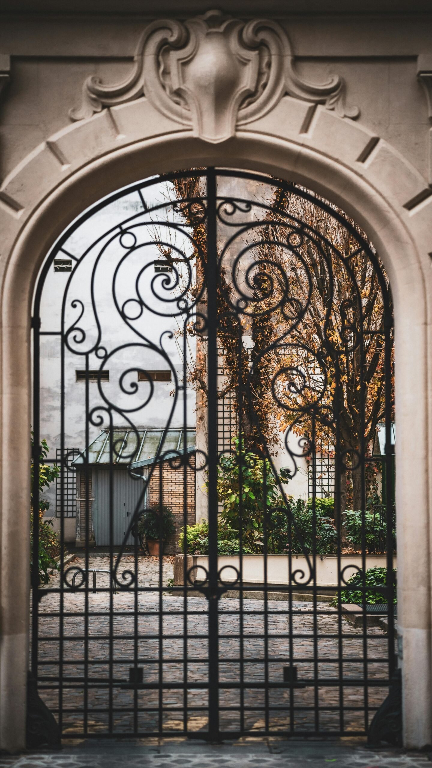 An elegant and detailed ornate iron gate leading to a Paris courtyard, capturing classic architecture.